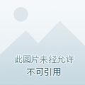 上帝的shai子