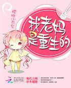 顶级枭徒免费阅读全