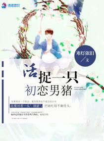官路扶摇正版崔向东在线阅读