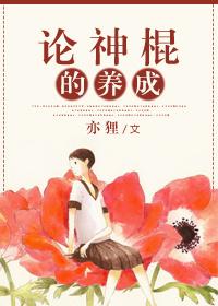 我加载了休闲游戏全文免费