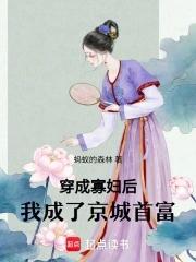 大明商业王朝笔趣阁