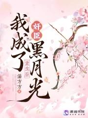 三国之天下布局 黯夜听雨
