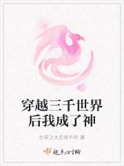 巫师的旅途
