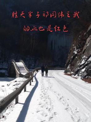 七零军婚甜如蜜